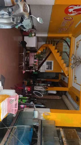 Bán Nhà 4 Tầng Tự Lập Tân Bình