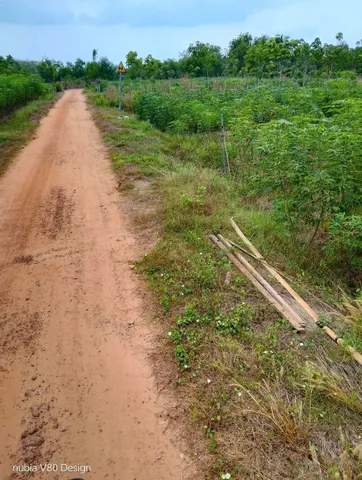 Cần bán bán 2 công đất xã chà là cũ, nay là phường Ninh Thạnh, Tây Ninh 
Đất phủ hồng bao lên 200m2 thổ
