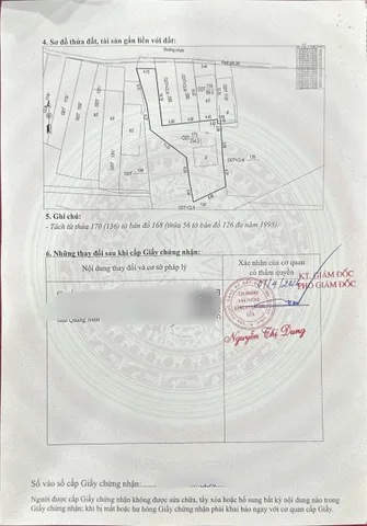 Hàng hiếm ngay trung tâm bãi cháy