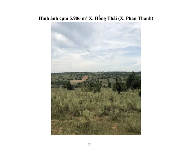 11. Cụm 5.906 m2 X. Hồng Thái (X. Phan Thanh)
Vị trí đất : Link
 THÔNG TIN LÔ ĐẤT
● Hướng: Tây Bắc.