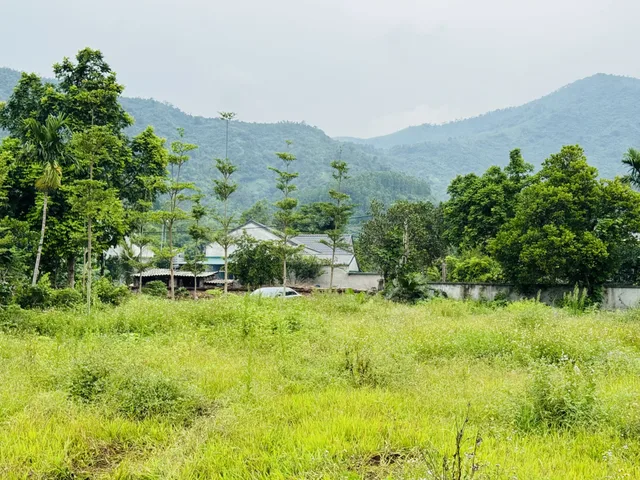 400M2 VUÔNG ĐẸP ( 2,6 TỶ ) NHÀ VƯỜN CỰC ĐẸP KHÔNG KHÍ TRONG LÀNH