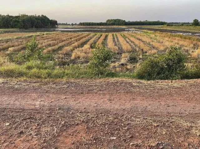 Bán đất mặt tiền View kênh gần đường Nguyễn Kim Cương xã Tân Thạnh Đông Củ Chi TPHCM, DT: 1611m2.