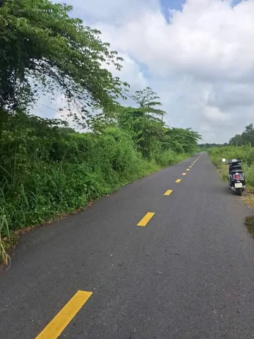 Bán đất mặt tiền nhựa 1/ngắn Tỉnh Lộ 7 xã An Nhơn Tây Củ Chi TPHCM, DT: 11000m2.