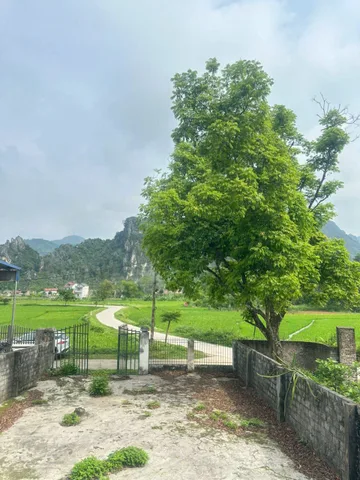 279m sẵn nhà C4 - gần trường học - view cánh đồng - giá chỉ 1.x tỷ