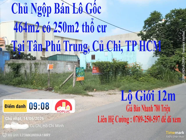 🔥 464m² Có 250m² Thổ Cư Tân Phú Trung - Củ Chi, Gần BV Xuyên Á Chỉ 780 Triệu