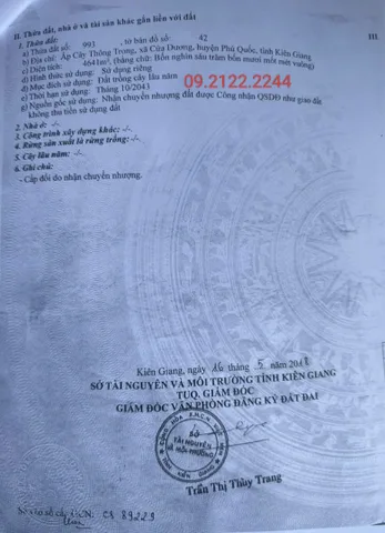 Bán đất 4641m2 MT Cây Thông Trong Ngang 42.6m giá 10.9 tỷ tại Đặc Khu Phú Quốc