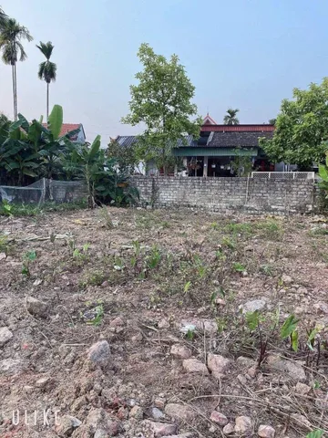ĐẤT NGŨ LÃO ( nay là phường Bạch Đằng)
L/h;076.231.9990 em Thuý
Chính chủ gửi bán 1 lô đất tại My Sơn, 
Ngũ Lão
_ Diện tích: 119m
_ Ngõ ô tô đi thoải mái, cách trục liên thôn vài trục mét ạ.
_ Dân cư đông đúc, thân thiện, giàu có ạ
Chỉ 8xx