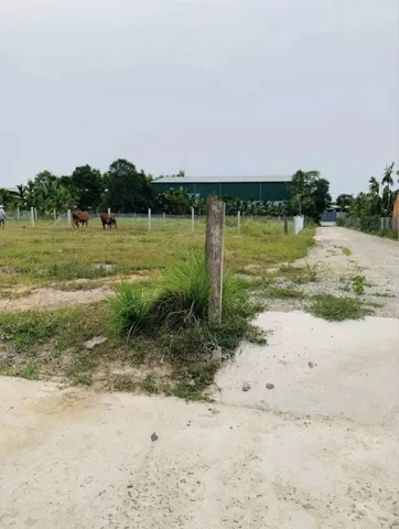 Nghĩa Kỳ còn 2 lô tương lai là bênh hông Khu phức hợp Công nghiệp – Đô thị – Dịch vụ An Phú 🏢