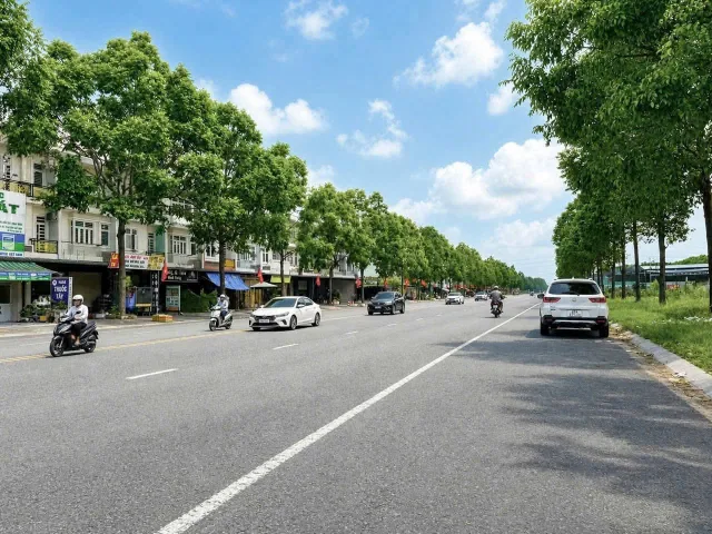 Bán gấp đất Bến Cát gần KCN – 250m² mặt tiền, sổ sẵn trao tay, 800 triệu Bình Dương