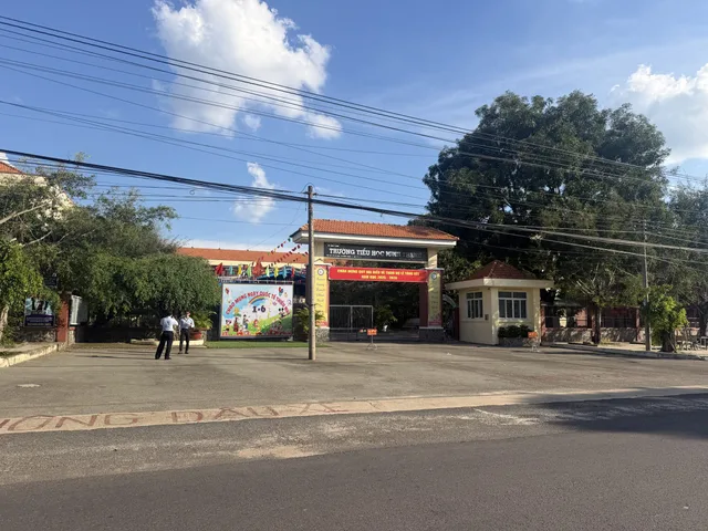 Đất trồng cây lâu năm 1 cặp liền kề mặt tiền đường nhựa tiềm năng tăng giá
