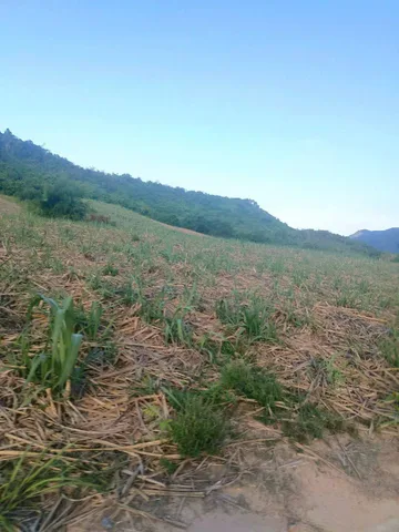 57-58-59.45 8376M2 BÁN ĐƯỜNG 170M MẶT TIỀN BÊ TÔNG
vị trí : THÔN VĂN THUỶ 2 ,CAM PHƯỚC TÂY 
DIỆN TÍCH ;8376M2 
giá tổng bán :230 TRIỆU / SÀO TỔNG 1 TỶ 926 TRIỆU
LIÊN HỆ : MINH HIẾU 0389623794 BĐS