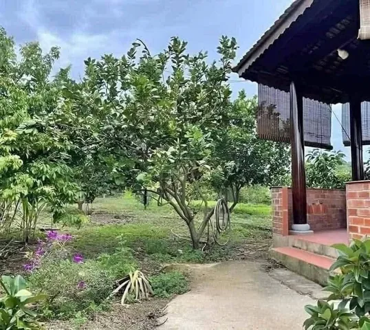Còn đúng 1 nền đất vườn thích hợp cho a.c nào thích xây nhà vườn, biệt thự mini. Xung quanh tiện ích trong bán kính 3km. Có sân chơi pickleball.