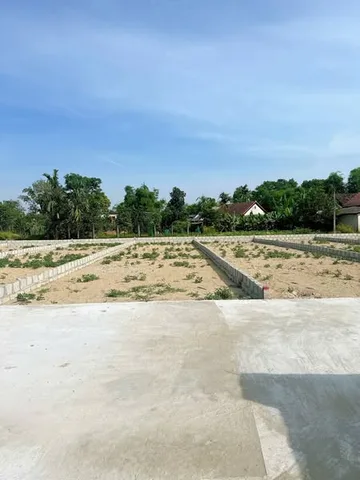 🔥 480 TRIỆU SỞ HỮU ĐẤT HƯƠNG TRÀ – LÔ ĐẸP, SỔ RIÊNG
