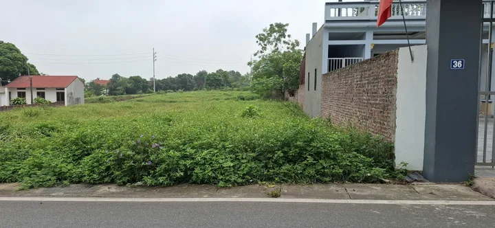 🏡 Chính chủ bán lô đất mặt đường liên xã tại thôn Tân Thành, Cẩm Lĩnh, Ba Vì, Hà Nội