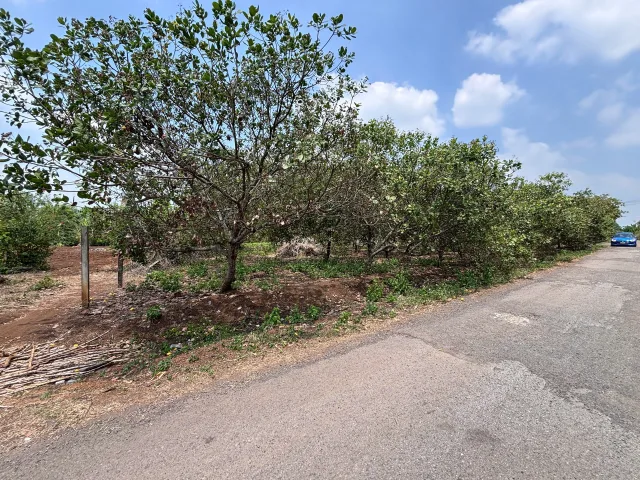 Lô góc Bàu cạn 1696m2 có 1500m2 thổ cư