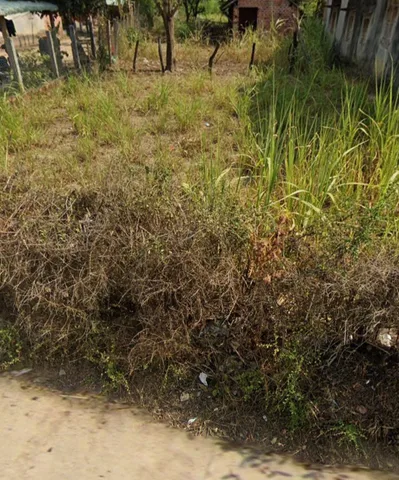 Bán đất xóm 5, nam giang gần chợ nam giang