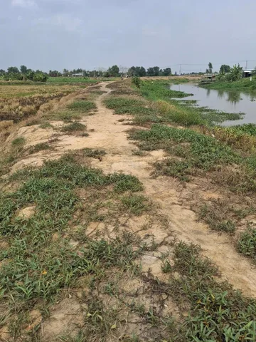 Bán đất 1 ha giá 1,5 tỷ ở Bến Cầu - Tây Ninh