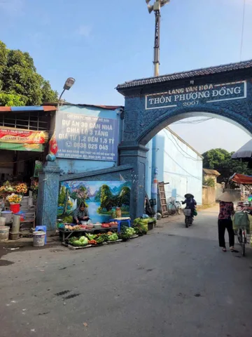 Bán đất phượng đồng phụng châu gần trường ĐH TDTT