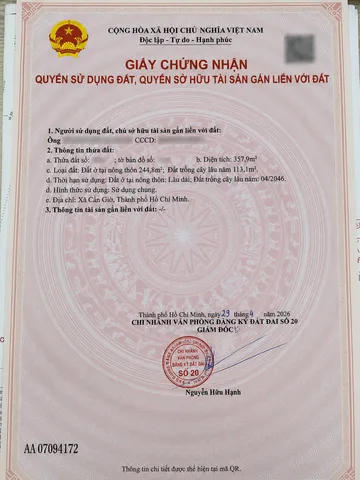 BÁN ĐẤT MẶT TIỀN TRỤC ĐƯỜNG DUYÊN HẢI – XÃ CẦN GIỜ