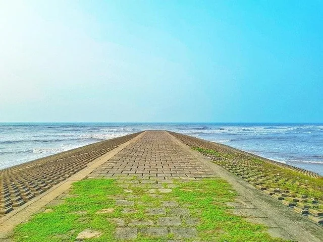 Săn đất nền biển Thịnh Long,Nam Định, trục kinh doanh, sổ đỏ lâu dài nhỉnh 1 tỷ