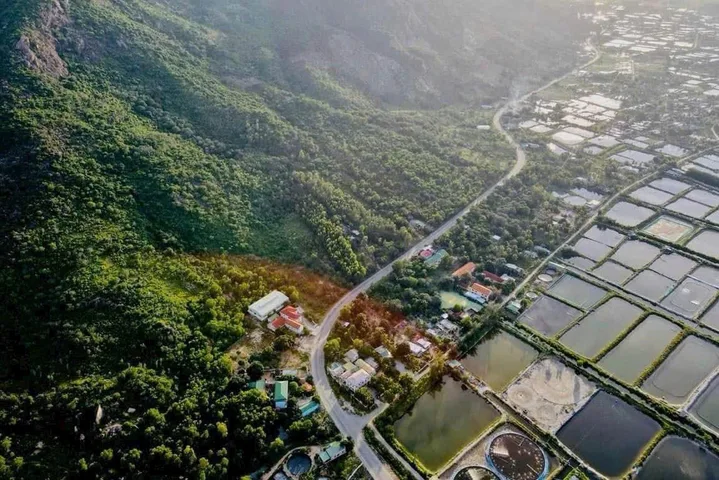 424m² Thổ Cư Cạnh Vin Cam Ranh Mặt Tiền 31,4m View Vịnh Cam Ranh Đường 30m Giá 125tr/m ngang