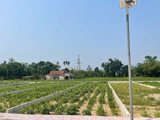 🔥 CƠ HỘI CUỐI CÙNG TẠI KIM TRÀ – CHỈ CÒN 1 LÔ ĐẸP NHẤT 🔥