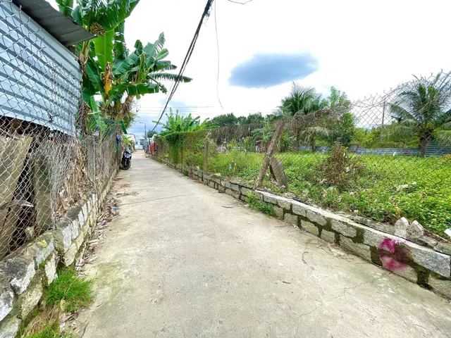BÁN ĐẤT GIÁP SUỐI THÔN CỔ MÃ XÃ VẠN THỌ VẠN NINH