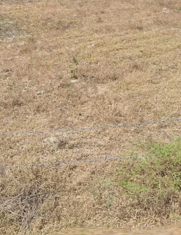 bán đất xóm 7, thượng giang 1, dt 300 m2