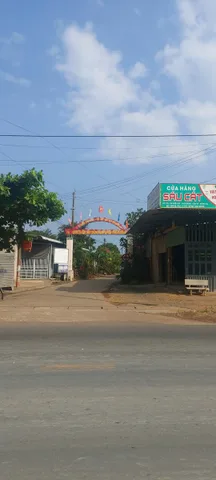 Bán vườn dừa đang cho thu hoạch tại Xuân Đông Cẩm Mỹ Đồng Nai