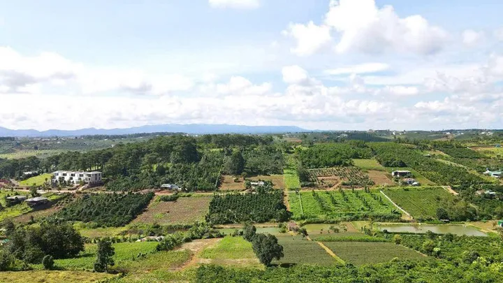 ĐẤT VÀNG KINH DOANH - NGAY NGÃ BA TÂN VĂN (PHÚC THỌ, LÂM HÀ)