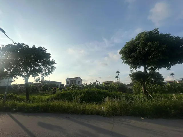 Loại đất: Đất ở tại đô thị(ODT)
Diện tích: 300m2
Vị trí: Khu đô thị Kim Sơn, Mạo Khê, Quảng Ninh
Giá: 7 tỷ đồng