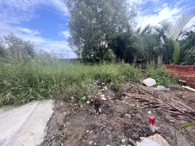 Đất diện tích 1732m2 cln tại Long Thới, Nhà Nè
Dt: 26x105
Giá 6 tỷ
Lh 0912424842