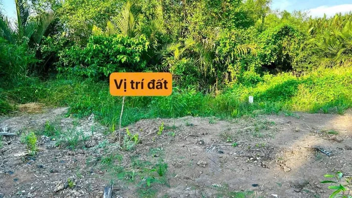 Đất Vườn Ngay Cảng QT Long An Giá Chỉ 200tr