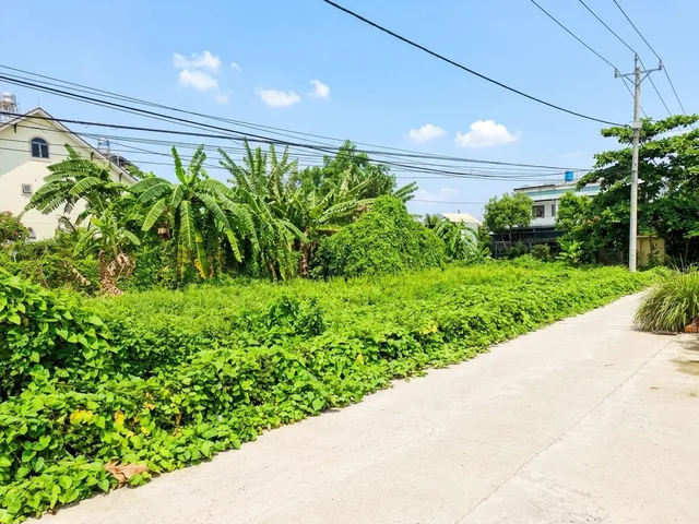 [O2510] Đất phân lô 800m2 Vườn Lài Senturia giá 37.x tỷ