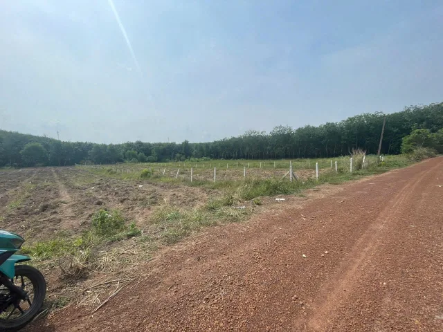 Cần bán lô đất sào 700m2 sẵn 100m2 thổ cư ngang 10m cho anh chị em kinh doanh xưởng kho ở Bàu Bàng Bình Dương cũ