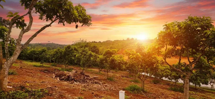 CẶP NỀN LIỀN KỀ NGHỈ DƯỠNG ĐÔ THỊ – VEN ĐÀ LẠT (SẴN THỔ CƯ) - VIEW HỒ
