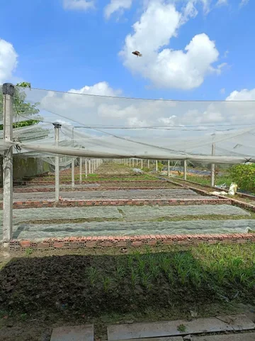 Bán đất vườn có nhà cấp 4 đẹp. Đất cao ráo có sẵn nhà và vườn chăn nuôi!