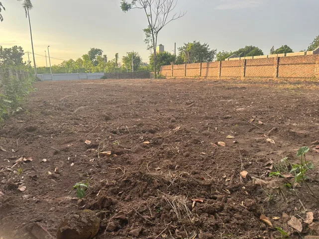 Bán đất Phúc Thọ Mai Lâm Đông Anh 1000m2 giá 70 tỷ đường ô tô tránh
