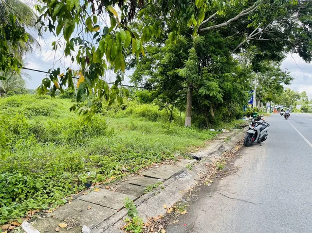 CẦN SANG LẠI 3120M MẶT TIỀN ĐƯỜNG NAM SÔNG HẬU, DÂN ĐÔNG SAN SÁT TIỆN KINH DOANH BUÔN BÁN GIÁ BÁN LỖ 250 TRIỆU/MN