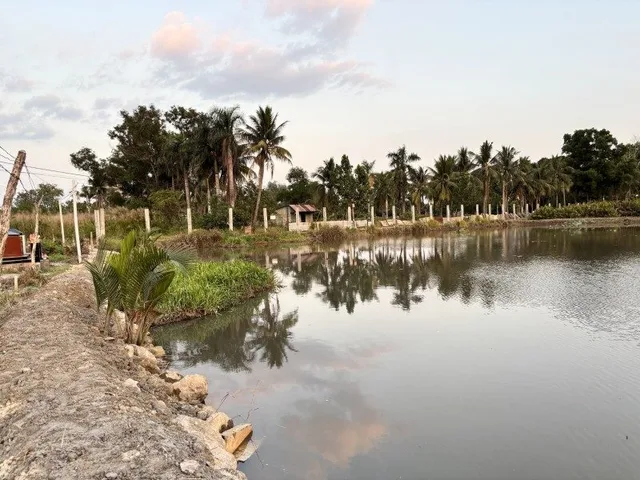 🔥 ĐẤT LONG PHƯỚC 1.763M² – NGANG 40M – CHỈ 8 TỶ, GIÁ CHỈ HƠN 4,5 TRIỆU/M² 🔥
☘️ CHỦ GIẢM SÂU 4,8 TỶ – CẦN BÁN GẤP ☘️