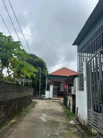 Bán lô đất thôn 2 - hải Xuân - móng cái 1