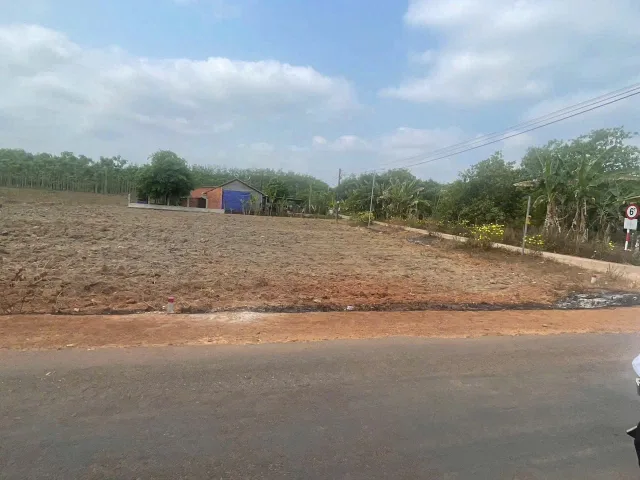 1000m2 đường nhựa thông thoáng dân cư đông đúc