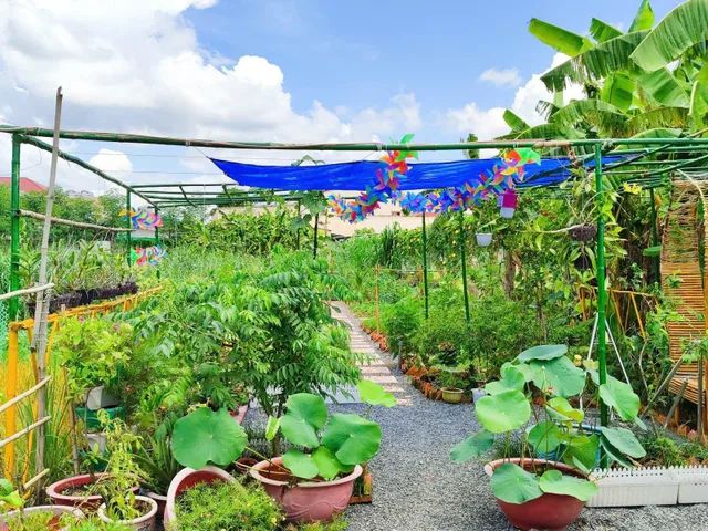 CC cần bán lô đất thổ vườn 991m2 Đường Cây Trôm Mỹ Khánh - Xã Thái Mỹ-Củ Chi