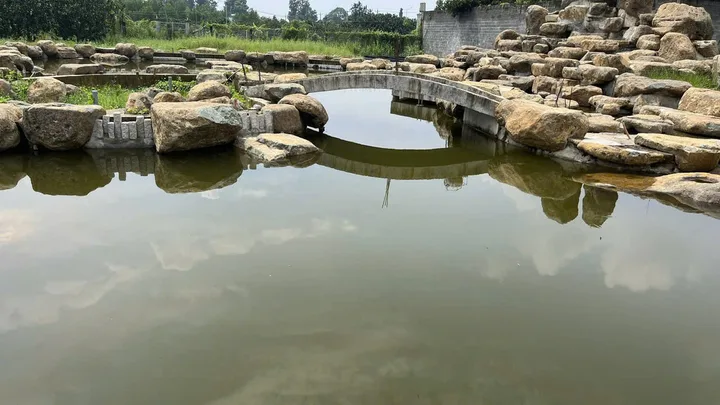 Bán khu vườn cây ăn trái sinh thái, mặt tiền đường Hương Lộ 15, xã Bình Lợi, Vĩnh Cửu, Đồng Nai