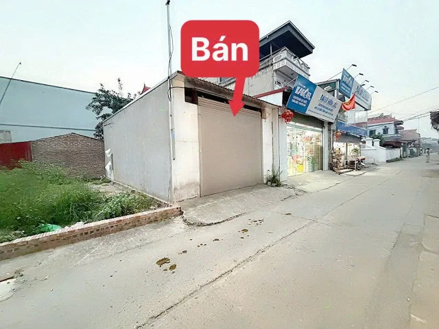 Bán đất trục chính Đường Nhạn Xuân Nộn xã Thư Lâm HN giá 2,8 tỷ 50m2 kinh doanh tốt