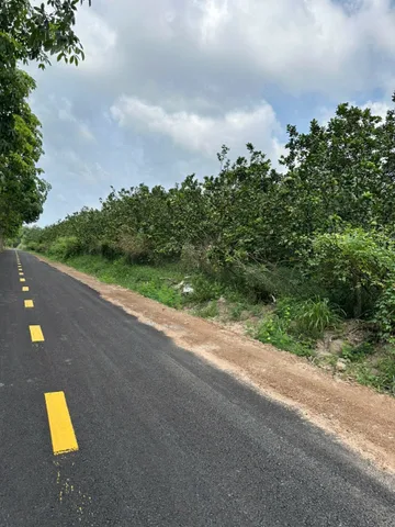 ❌Bán nhanh 2 sào đất Vườn Bưởi cực đẹp
📍Tại Bàu Bàng - Bình Dương