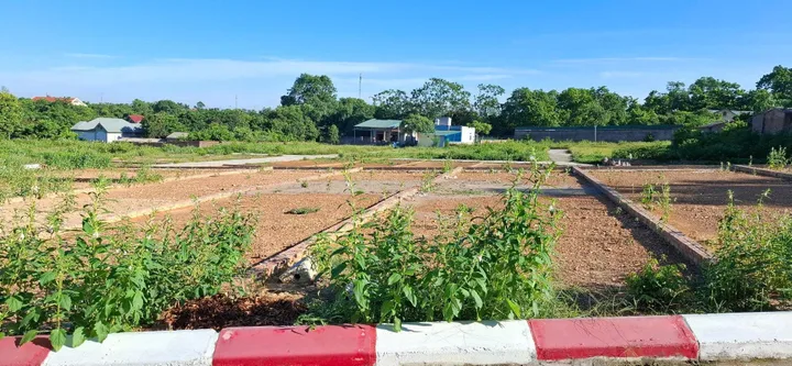 🏡 Bán lô đất tại Ngọc Nhị cách đường xe bus chỉ 50m