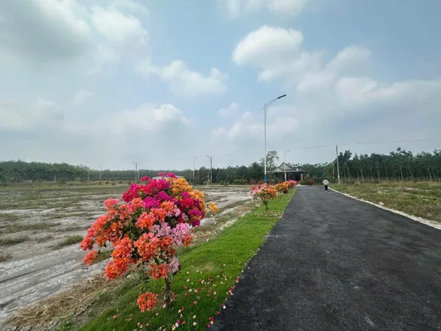 Chủ gửi bán gấp 1 cặp liền kề để đi nước ngoài cùng gia đình. Mặt tiền đường nhựa gần khu công nghiệp. Thích hợp xây trọ, kinh doanh.
