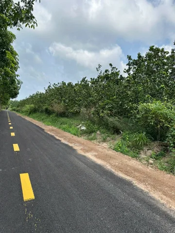 CHỦ CHUYỂN NHÀ CẦN NHƯỢNG LẠI LÔ ĐẤT SÀO SẴN VƯỜN CÂY ĂN TRÁI