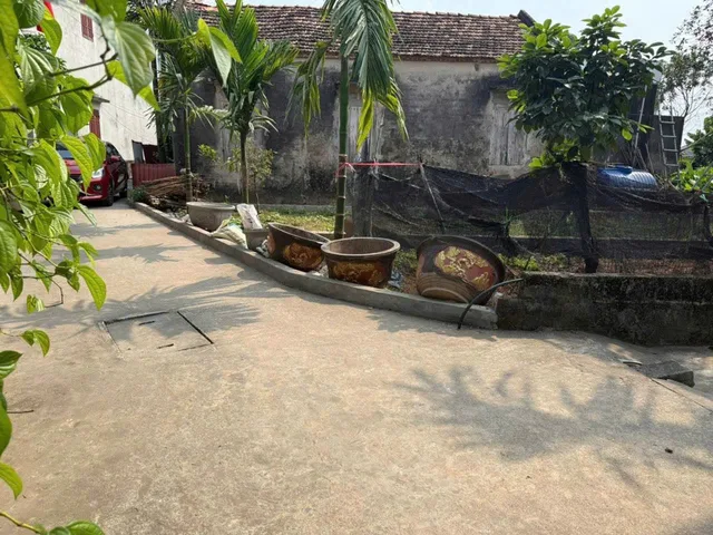 BÁN ĐẤT ĐẸP ĐAN KIM, LIÊN NGHĨA, VĂN GIANG, HƯNG YÊN